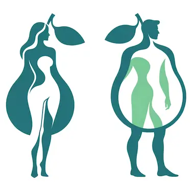 Fettverteilung Wechseljahre: Von der Birnen- (weiblich) zur Apfelform (männlich)